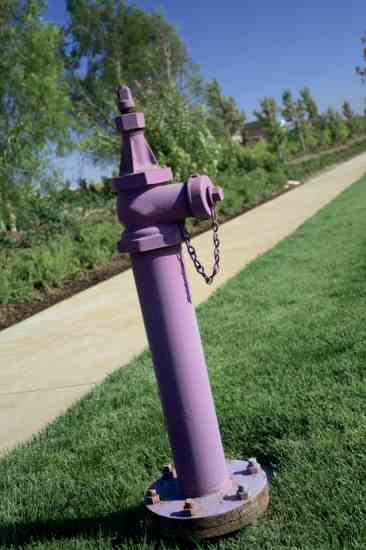 Some cities now make recycled wastewater available, often in magenta-colored pipes to prevent cross connection. This water is usually suitable only for landscaping but when treated to a higher standard can be used for agricultural crops. 